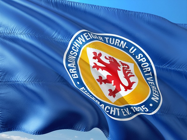 尼克斯